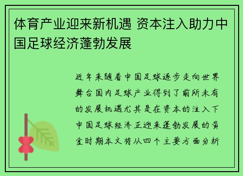 体育产业迎来新机遇 资本注入助力中国足球经济蓬勃发展